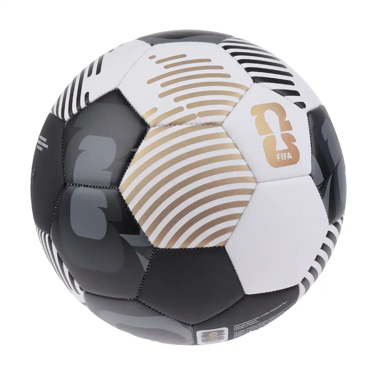 FIFAE-1143_2.webp