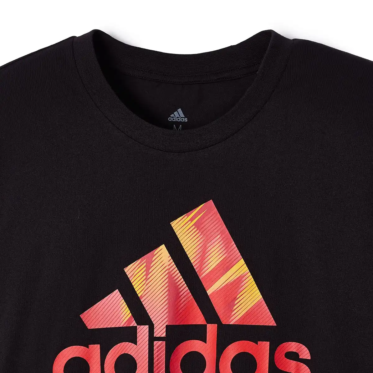 FIFAMT002003_3.webp