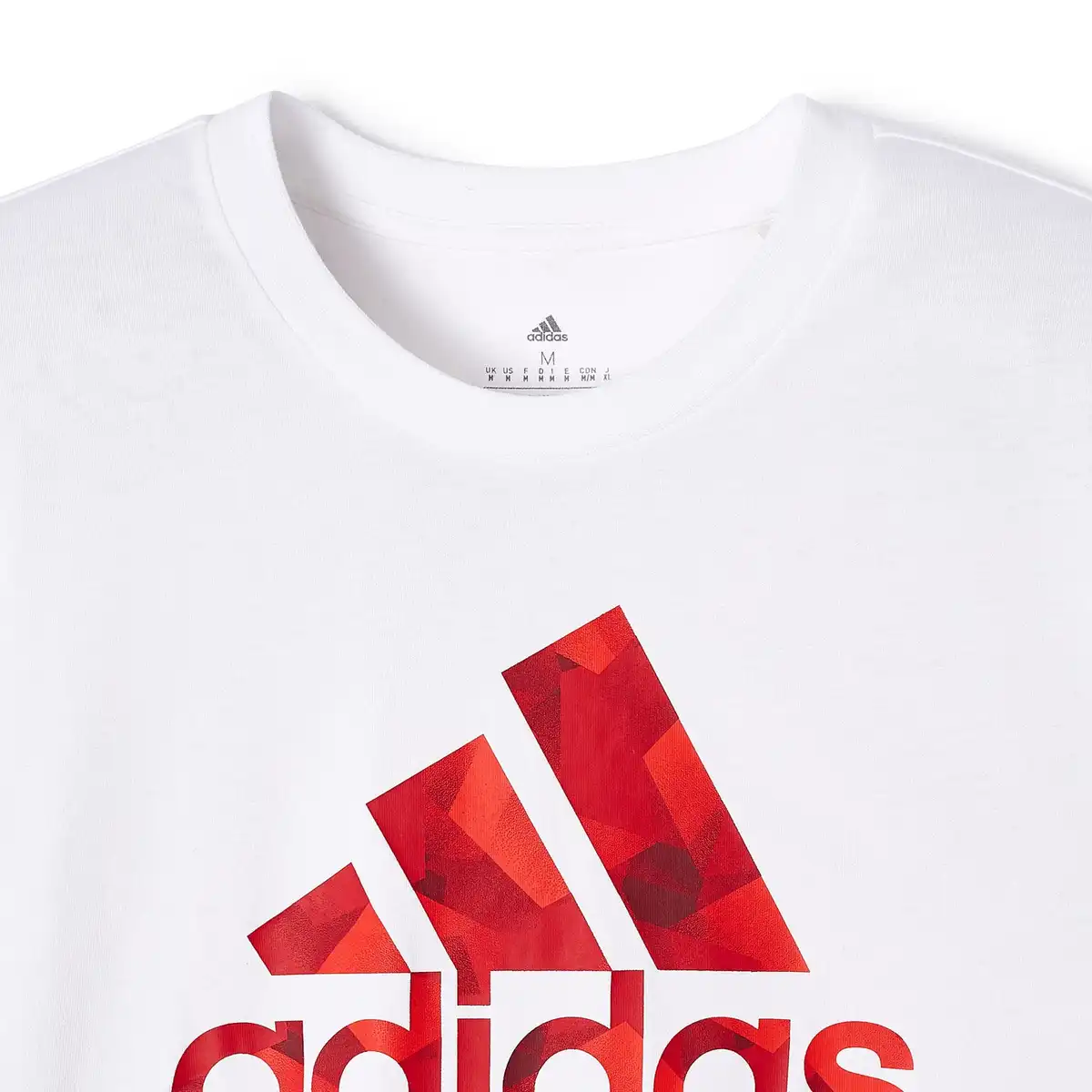 FIFAMT002103_3.webp