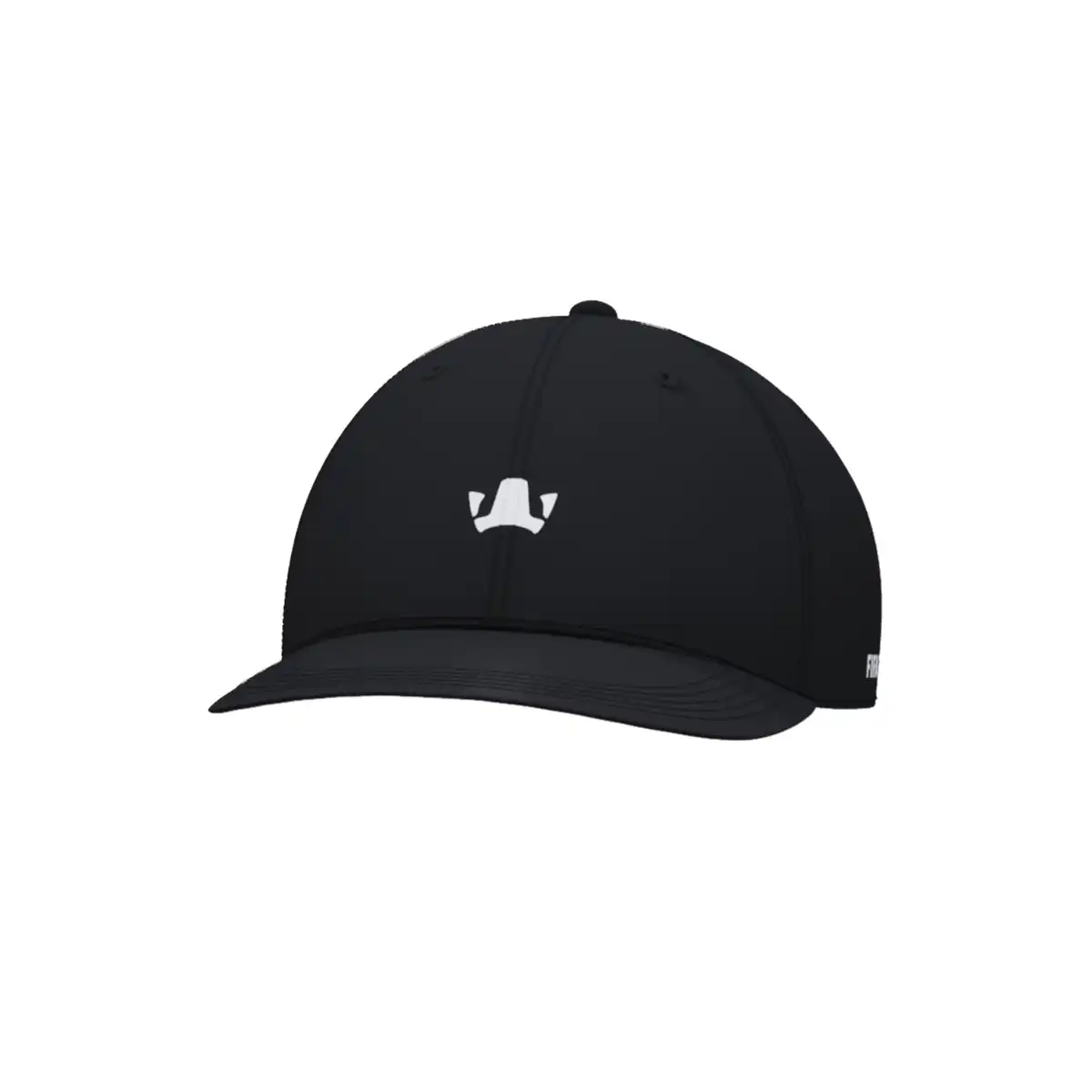 FIFAe_Cap_2.webp