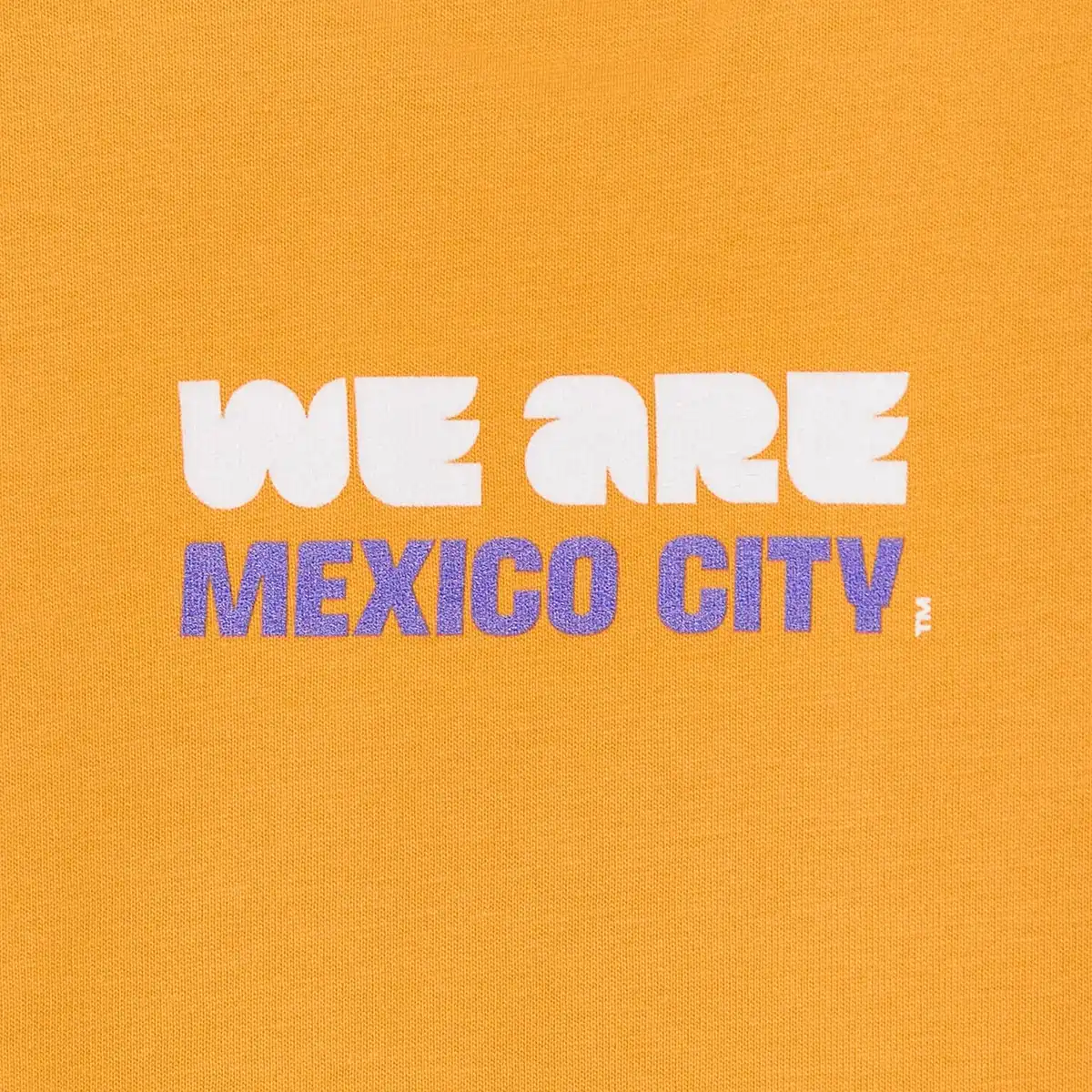 KidsHCMexicoCityTShirt_4.webp