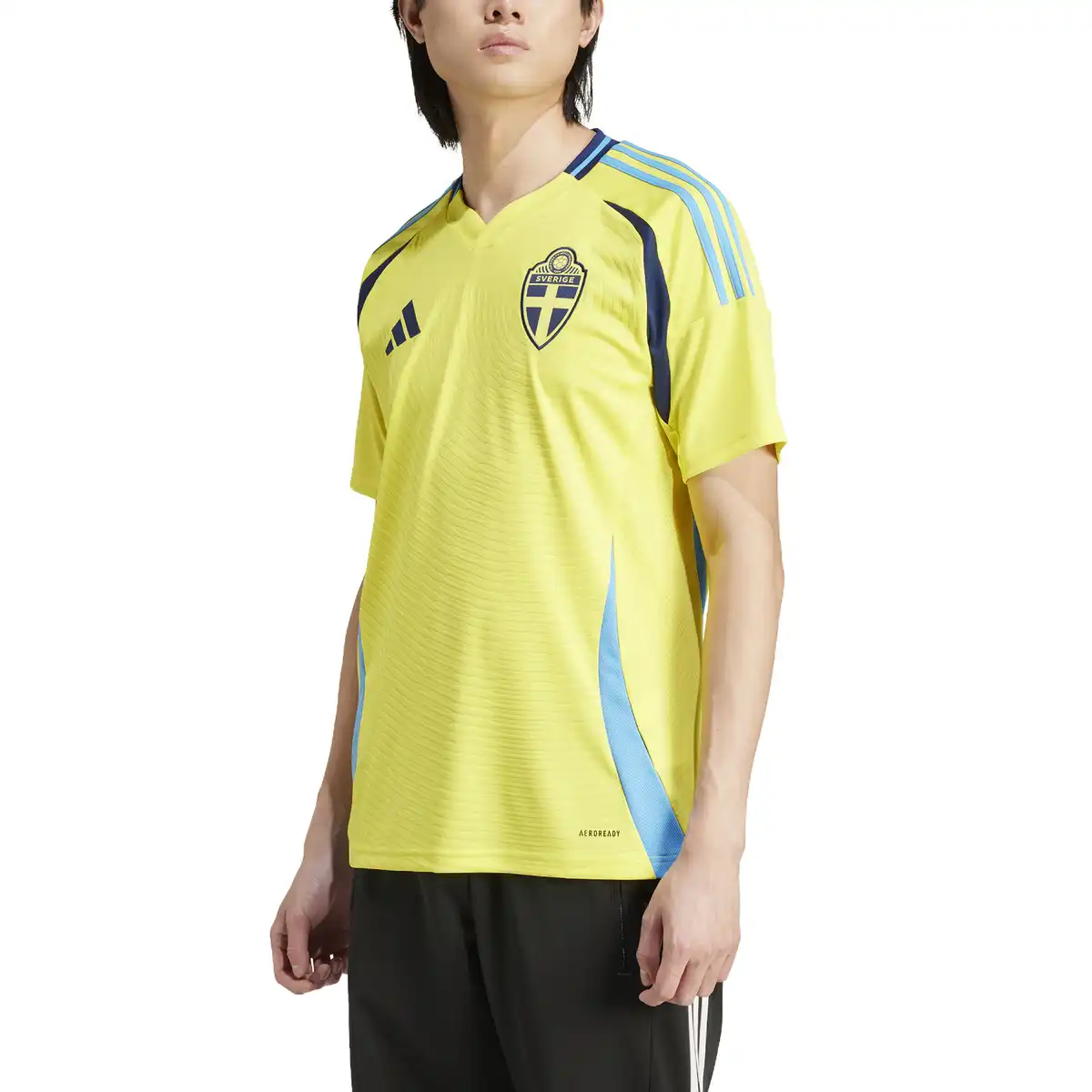 SWD_3.webp